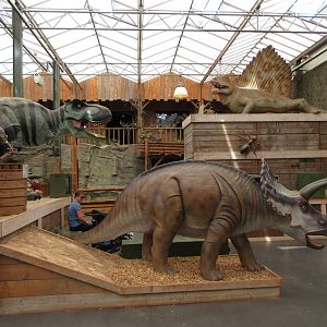 Dinosaur Room