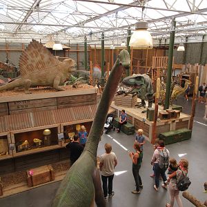 Dinosaur Room