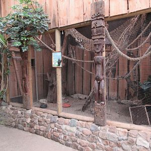 Pygmy Marmoset Exhibit
