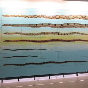 Huge, 20-foot high snake sign