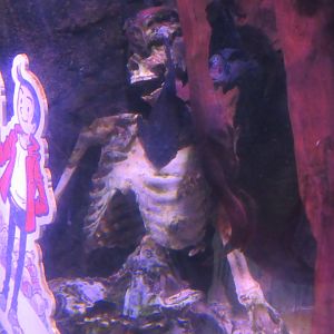 Creepy Fake Human Skeleton (in tank)