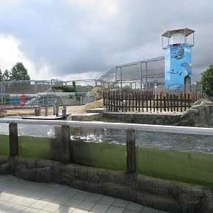 California Sea Lion Exhibit