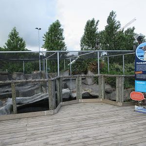 Humboldt Penguin Exhibit