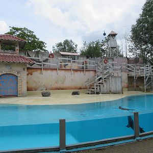California Sea Lion Exhibit (in small stadium)