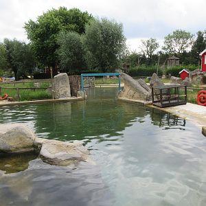 Harbour Seal Exhibit