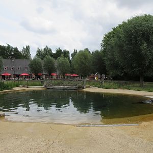 Harbour Seal Exhibit