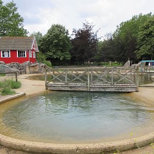 Harbour Seal Exhibit