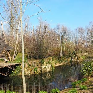 Woolly monkey island, 2019-03-30