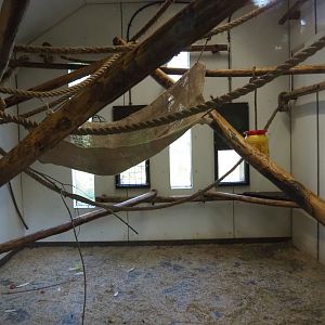 Woolly monkey indoor housing, 2019-03-30
