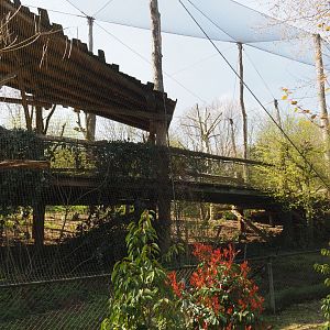 Puna aviary, 2019-03-30