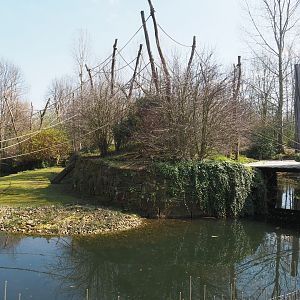 Woolly monkey island and capybara exhibit, 2019-03-30