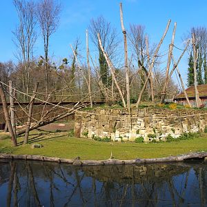 Yellow-breasted capuchin and capybara exhibit, 2019-03-30