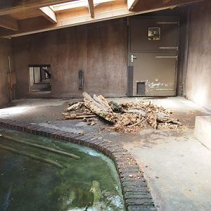 Giant anteater indoor housing, 2019-03-30