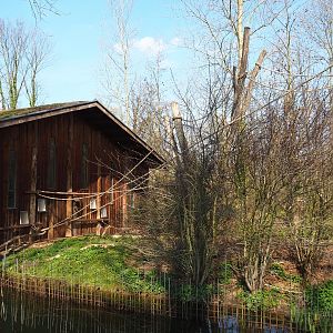 Red-faced spider monkey island and house, 2019-03-30