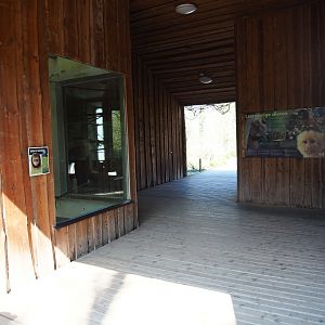 Monkey house passage, 2019-03-30
