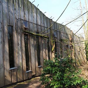 Bolivian squirrel monkey house, 2019-03-30