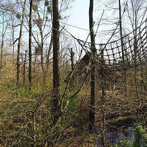 View in the Bolivian squirrel monkey forest, 2019-03-30