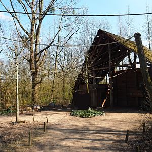 View in the Bolivian squirrel monkey forest with shelter, 2019-03-30