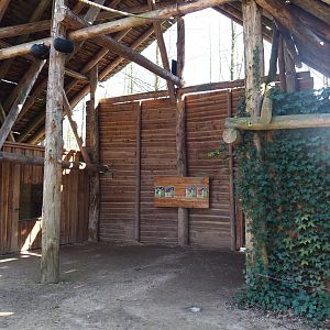 Shelter in the Bolivian squirrel monkey forest, 2019-03-30