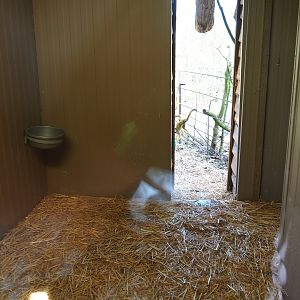 Darwin's rhea barn, 2019-03-30