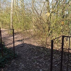 Darwin's rhea separation pen within the squirrel monkey forest, 2019-03-30