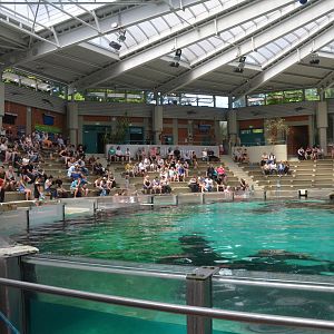 Dolphinarium at Duisburg, 17/06/19