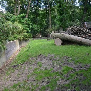 Congo Blue Duiker and Bongo Enclosure at Duisburg, 17/06/19