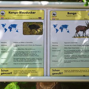 Mixed Forest Antelope Exhibit Signage at Duisburg, 17/06/19