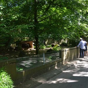 African Wild Dog Enclosure at Duisburg, 17/06/19