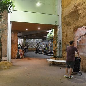 Aequatorium at Duisburg, 17/06/19