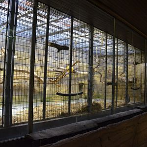Mangabey Enclosure in Aequatorium at Duisburg, 17/06/19