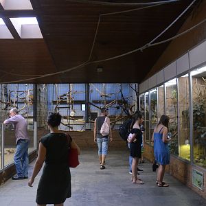 Aequatorium at Duisburg, 17/06/19