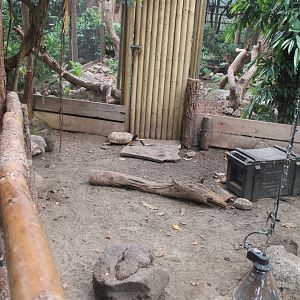 Yellow-footed tortoise enclosure
