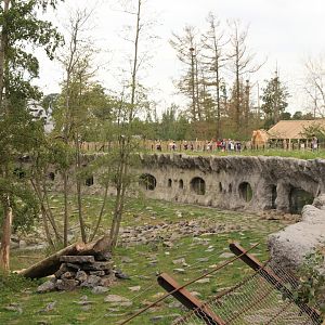 Brown bear and grey wolf enclosure with windows of new full moon lodges (hobbit caves) (July 2019)