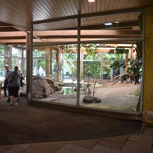 Pygmy Hippo Enclosure in Aequatorium at Duisburg, 17/06/19
