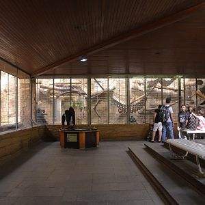 Gorilla Enclosure in Aequatorium at Duisburg, 17/06/19