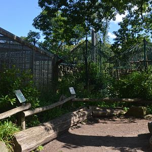 Monkey Enclosures in Aequatorium at Duisburg, 17/06/19