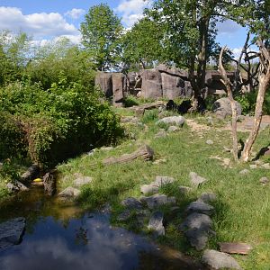 Spectacled Bear Enclosure at Duisburg, 17/06/19