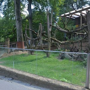 Australia Complex at Duisburg, 17/06/19