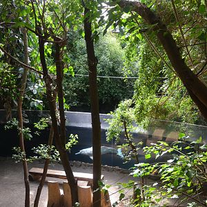 Rio Negro at Duisburg, 17/06/19