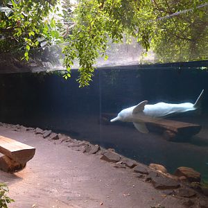 Rio Negro at Duisburg, 17/06/19