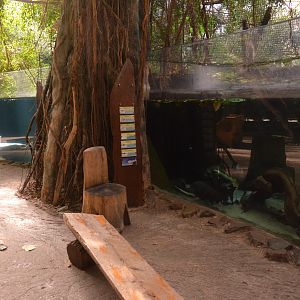 Rio Negro at Duisburg, 17/06/19