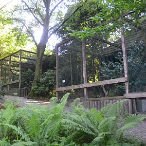 Owl Aviaries at Grugapark, 17/06/19