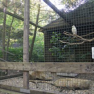 Owl Aviaries at Grugapark, 17/06/19
