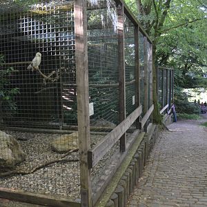 Owl Aviaries at Grugapark, 17/06/19
