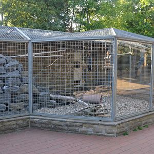 Parrot Aviaries at Grugapark, 17/06/19