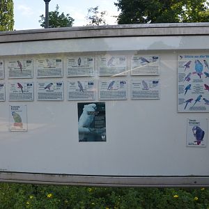 Parrot Aviary Signage at Grugapark, 17/06/19