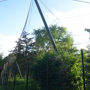 Walk-through Aviary at Grugapark, 17/06/19