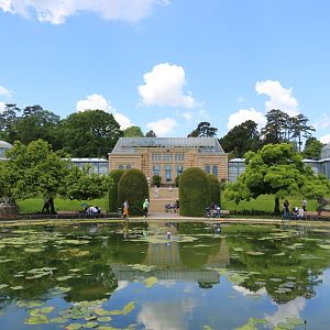 Historic Park with Maurisches Landhaus and sea roses (May 2018)