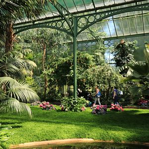 Large Glasshouse (May 2019)